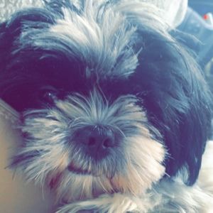 Meet your Posher, Maycee